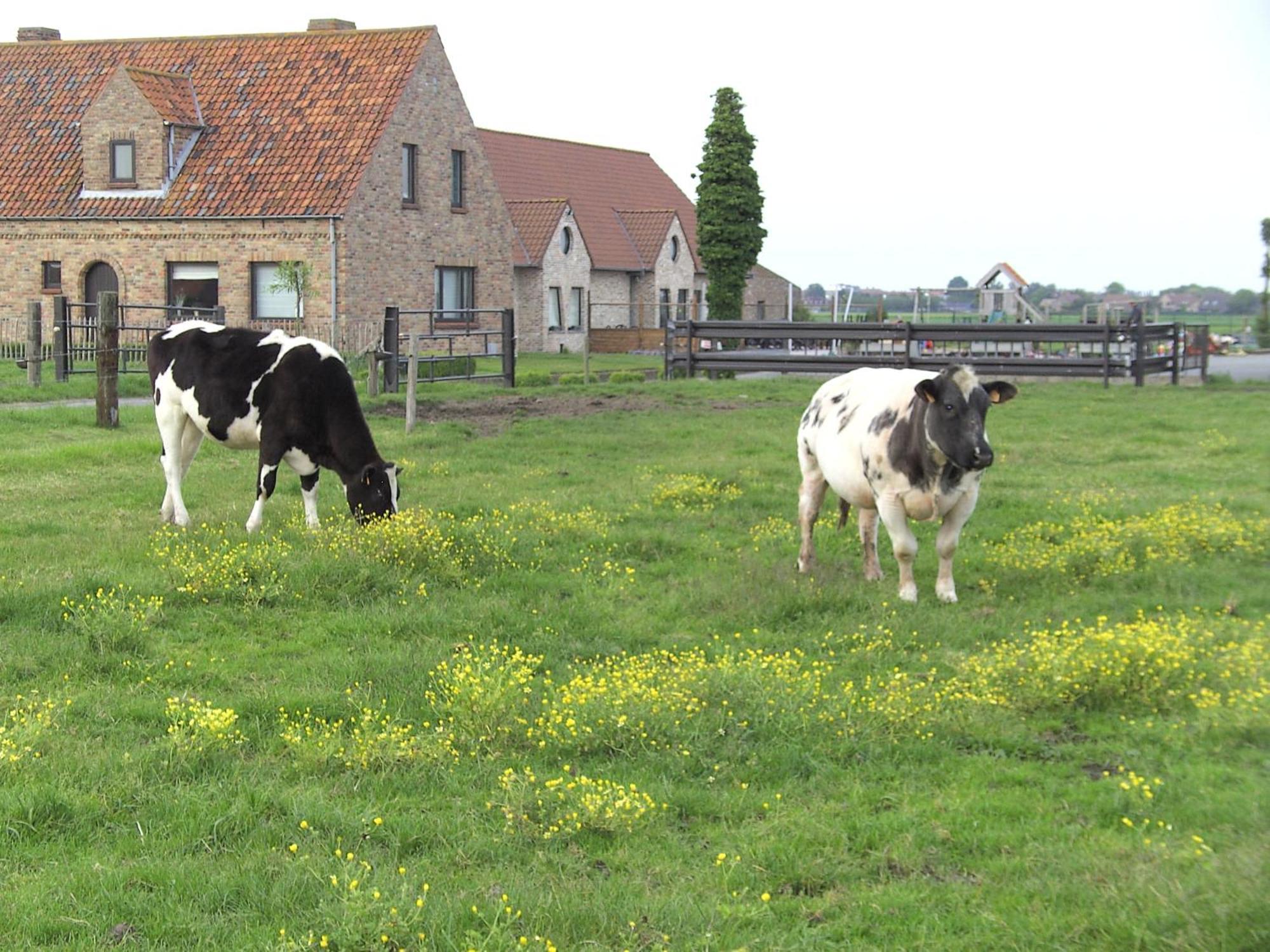 'T Vossenerf Villa De Haan Exteriör bild